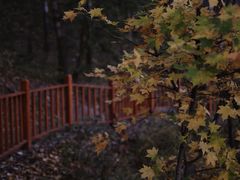 -玉渡山自然风景区