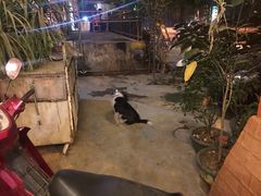 门面-伊萨娜印尼餐馆