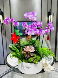 -御珠宫坊(壹海城ONEMALL店)