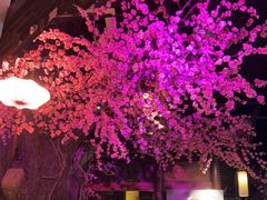 -韵秋荷(宝山龙湖天街店)