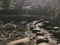 -广州市石门国家森林公园