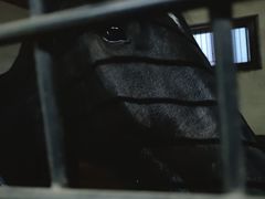 -北京群众马术培训基地