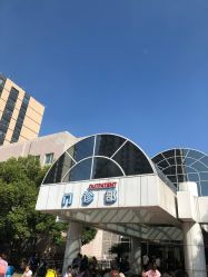 -上海交通大学医学院附属上海儿童医学中心(陆家嘴总院区)