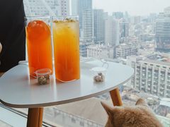 西柚茉莉花茶-Catmate·猫肥家润(金润铂宫店)