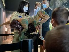 -侏罗纪世界电影特展(广州站)