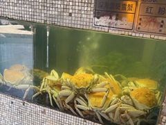 水产区-阳光码头海鲜火锅(世纪大道店)