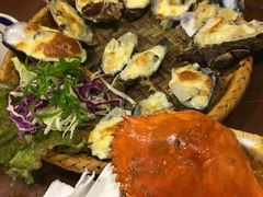 -茉莉.Red Crab