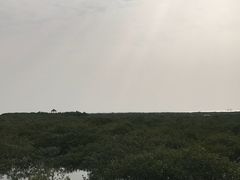 -北海金海湾红树林生态旅游区