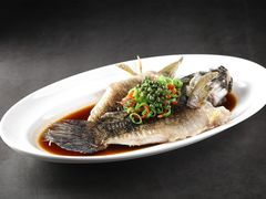 -曼格纳·曼芯馆(杨浦店)