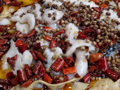 -金三可市井水煮鱼(金碧园店)