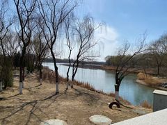 -大兴滨河森林公园