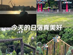 -上海共青森林公园
