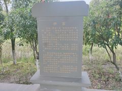 -董永七仙女文化园
