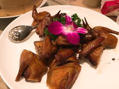-深圳湾木棉花酒店