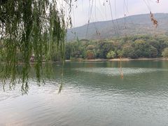 -紫霞湖公园