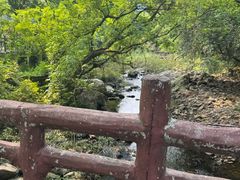 -广州市石门国家森林公园
