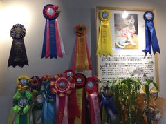 -猫十亿·布偶金渐层·曼基康矮脚猫舍(青年路店)