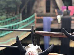 -海南槟榔谷黎苗文化旅游区