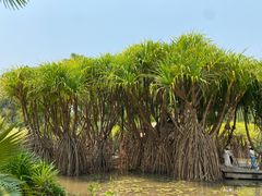 -中国科学院西双版纳热带植物园