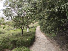 -云龙山