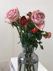 -安那般那皮肤年轻化ANAPANA