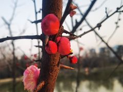 -渭滨公园