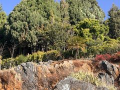 -南诏风情岛