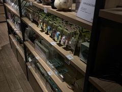 -九木杂物社(恒隆广场店)