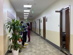 -美联众合动物医院·24h转诊中心