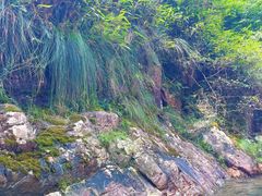 -安吉龙王山峡谷漂流