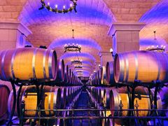 -北京张裕爱斐堡酒庄