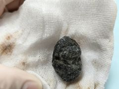 -派美特宠物医院·核磁CT·骨科肿瘤·疑难转诊(沈农禾丰店)