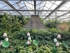 -南宫五洲植物乐园