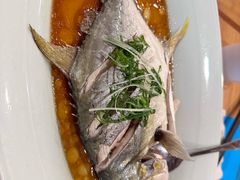 -糟粕醋·椰苑海南菜餐厅(亚龙湾天域酒店)