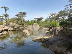 -罗红摄影艺术馆