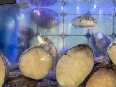 -日照大牌檔•小船海鲜(万平口店)