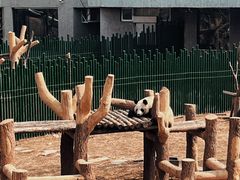 -沈阳森林动物园