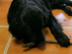 -扒虾小妹儿麻辣海鲜(宏图街店)