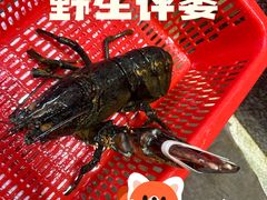 -蚝专家(北滘店)