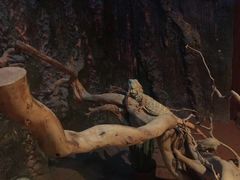 -多彩贵州城极地海洋世界