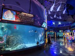 -烟台海昌鲸鲨海洋公园