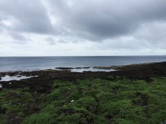 -鹅銮鼻公园