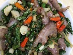 -东吴霸王兔(松青路店)