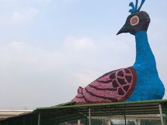 -秀丽东方