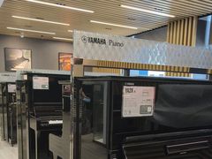 -雅马哈乐器专卖店(广州旗舰店)