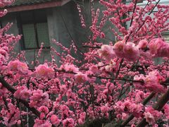 -亦缘居私家别院