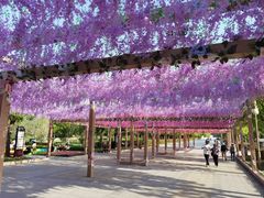-狼山风景名胜区