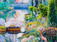 -上海共青森林公园