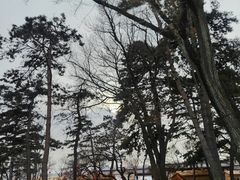 -长春市南湖公园