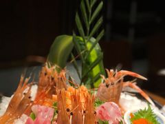 -芥末日本料理(打浦路铂尔曼旗舰店)